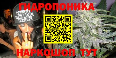 jwh Краснодар