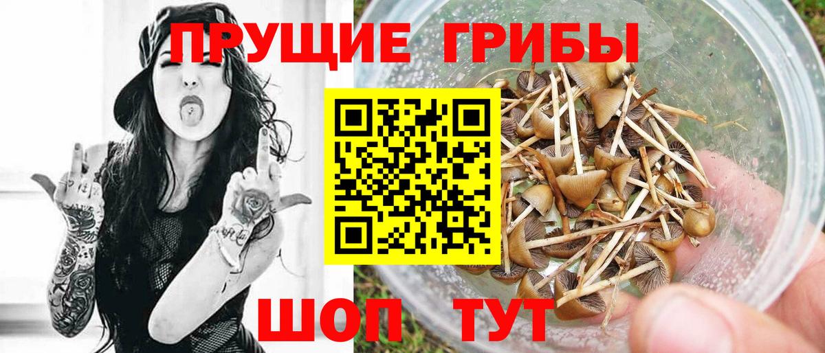 Галлюциногенные грибы Cubensis Дубна
