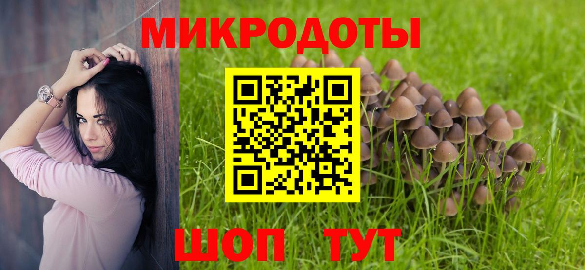 Дубна  Галлюциногенные грибы прущие грибы  Галлюциногенные грибы мицелий  Вход с VPN 